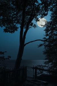 Preview wallpaper tree, moon, sea, view, night