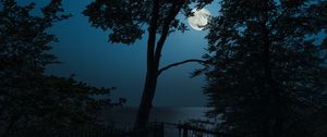 Preview wallpaper tree, moon, sea, view, night