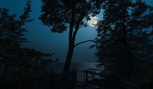 Preview wallpaper tree, moon, sea, view, night