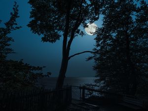 Preview wallpaper tree, moon, sea, view, night