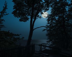 Preview wallpaper tree, moon, sea, view, night