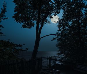 Preview wallpaper tree, moon, sea, view, night