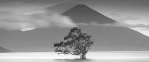 Preview wallpaper tree, mountain, bw, minimalism, monochrome