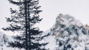 Preview wallpaper tree, mountain, winter