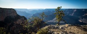 Preview wallpaper tree, mountains, canyon, landscape, view