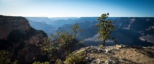 Preview wallpaper tree, mountains, canyon, landscape, view