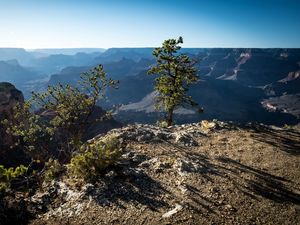 Preview wallpaper tree, mountains, canyon, landscape, view