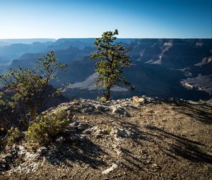 Preview wallpaper tree, mountains, canyon, landscape, view