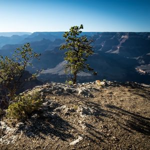 Preview wallpaper tree, mountains, canyon, landscape, view