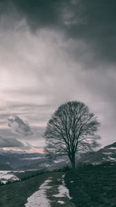 Preview wallpaper tree, mountains, clouds, fog