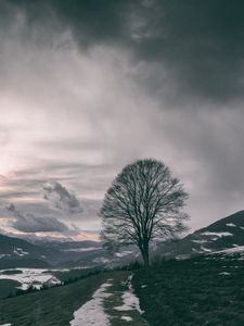 Preview wallpaper tree, mountains, clouds, fog