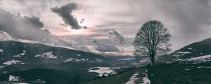Preview wallpaper tree, mountains, clouds, fog