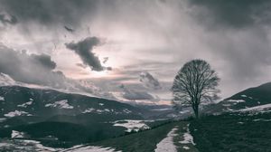 Preview wallpaper tree, mountains, clouds, fog