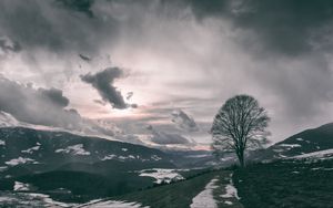 Preview wallpaper tree, mountains, clouds, fog