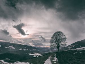 Preview wallpaper tree, mountains, clouds, fog