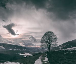 Preview wallpaper tree, mountains, clouds, fog
