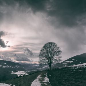 Preview wallpaper tree, mountains, clouds, fog