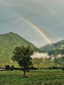 Preview wallpaper tree, mountains, forest, rainbow