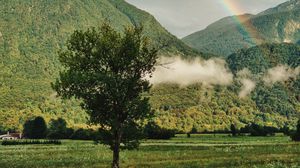 Preview wallpaper tree, mountains, forest, rainbow