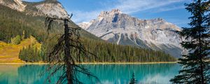 Preview wallpaper tree, mountains, lake, nature