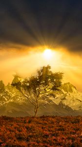 Preview wallpaper tree, mountains, landscape, nature, sun