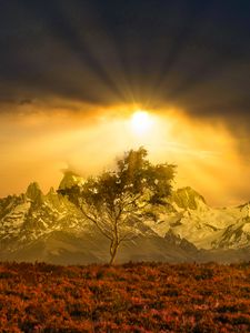 Preview wallpaper tree, mountains, landscape, nature, sun