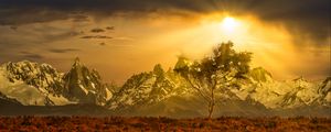 Preview wallpaper tree, mountains, landscape, nature, sun