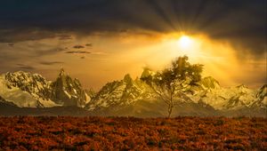 Preview wallpaper tree, mountains, landscape, nature, sun