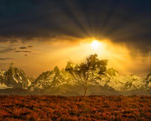 Preview wallpaper tree, mountains, landscape, nature, sun