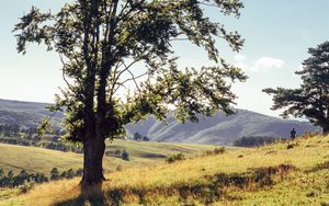 Preview wallpaper tree, mountains, meadows, man, sunlight, landscape