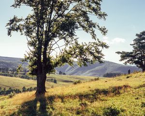 Preview wallpaper tree, mountains, meadows, man, sunlight, landscape