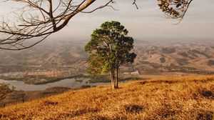Preview wallpaper tree, mountains, river, landscape, nature