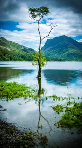 Preview wallpaper tree, mountains, rocks, lake, reflection