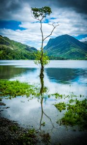 Preview wallpaper tree, mountains, rocks, lake, reflection