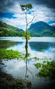 Preview wallpaper tree, mountains, rocks, lake, reflection