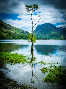 Preview wallpaper tree, mountains, rocks, lake, reflection