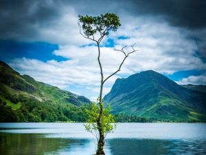 Preview wallpaper tree, mountains, rocks, lake, reflection