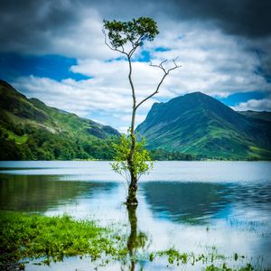 Preview wallpaper tree, mountains, rocks, lake, reflection