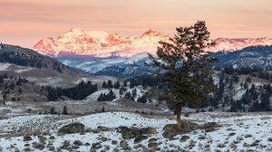 Preview wallpaper tree, mountains, snow, landscape