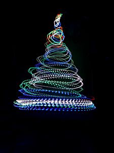 Preview wallpaper tree, neon, long exposure, freezelight, light