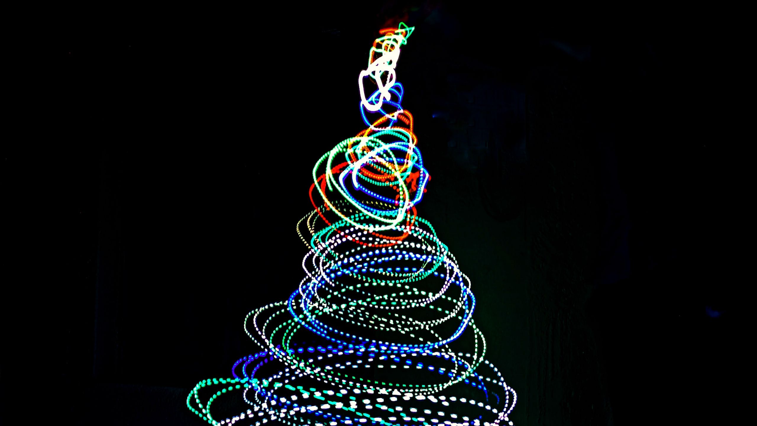 Download wallpaper 2560x1440 tree, neon, long exposure, freezelight ...