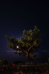 Preview wallpaper tree, night, dark, fence, flowers