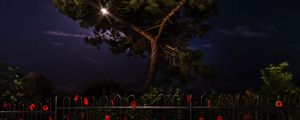 Preview wallpaper tree, night, dark, fence, flowers