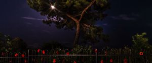 Preview wallpaper tree, night, dark, fence, flowers