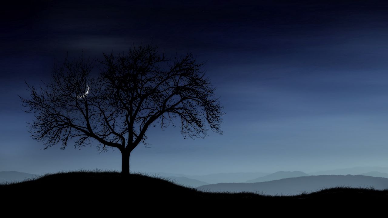 Wallpaper tree, night, lonely, silhouette, stars, moon, fog