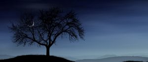 Preview wallpaper tree, night, lonely, silhouette, stars, moon, fog