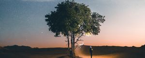 Preview wallpaper tree, night, silhouette, starry sky, light
