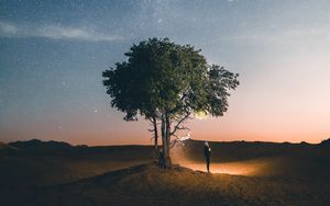 Preview wallpaper tree, night, silhouette, starry sky, light