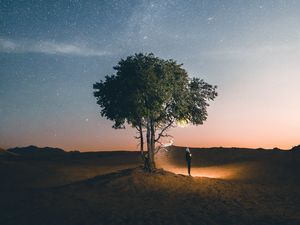 Preview wallpaper tree, night, silhouette, starry sky, light