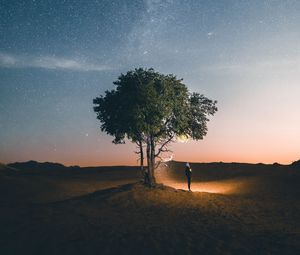 Preview wallpaper tree, night, silhouette, starry sky, light